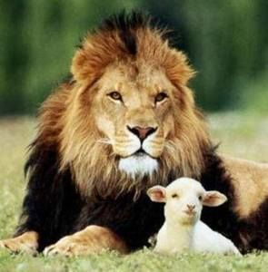 Meet your Posher, Alan